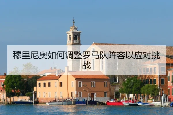 mu-li-ni-ao-ru-he-tiao-zheng-luo-ma-dui-zhen-rong-yi-ying-dui-tiao-zhan-2-115.jpg
